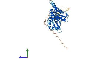 AlphaFold protein structure predicition of Mouse Recombinant Pno1 Protein, UniprotID Q9CPS7 (PNO1 Protein (AA 1-248) (His tag))