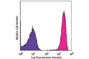 Flow Cytometry (FACS) image for anti-CD90.2 / Thy-1.2 antibody (APC) (ABIN2658292) (CD90.2 / Thy-1.2 antibody  (APC))