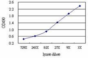 IFITM3 (Human) Matched Antibody Pair