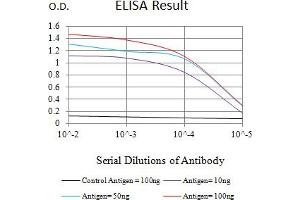 Black line: Control Antigen (100 ng),Purple line: Antigen (10 ng), Blue line: Antigen (50 ng), Red line:Antigen (100 ng) (ERCC1 antibody  (AA 1-120))