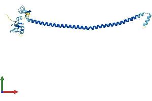 Protein Structure (PS) image for Tripartite Motif Containing 73 (TRIM73) (AA 1-250) protein (His tag) (ABIN7544684)