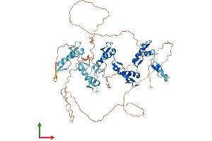 AlphaFold protein structure predicition of Human Recombinant ZNF415 Protein, UniprotID Q09FC8