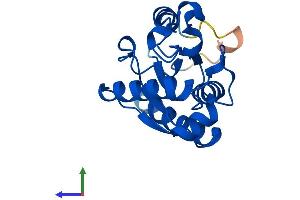 AlphaFold protein structure predicition of Mouse Recombinant Nmrk1 Protein, UniprotID Q91W63