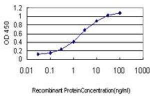 Detection limit for recombinant GST tagged CDX4 is approximately 0. (CDX4 antibody  (AA 71-170))