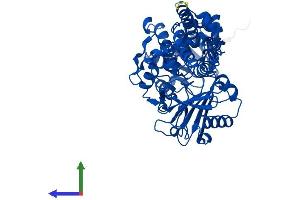 AlphaFold protein structure predicition of Mouse Recombinant Maoa Protein, UniprotID Q64133