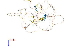 Family with Sequence Similarity 222, Member B (FAM222B) (AA 1-562) protein (His tag)