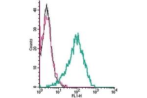 Flow Cytometry (FACS) image for anti-Transient Receptor Potential Cation Channel, Subfamily C, Member 6 (TRPC6) (AA 573-586), (Extracellular) antibody (ABIN7043825)