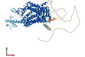 AlphaFold protein structure predicition of Human Recombinant SLC6A15 Protein, UniprotID Q9H2J7 (SLC6A15 Protein (AA 1-730) (His tag))