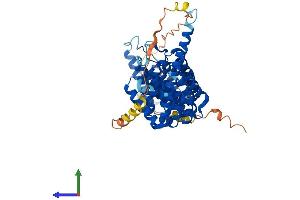 AlphaFold protein structure predicition of Human Recombinant PPP2R5C Protein, UniprotID Q13362