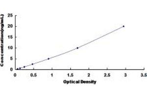 Typical standard curve (BMP8A ELISA Kit)