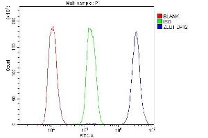 Flow Cytometry analysis of K562 cells using anti-ZEB1 antibody (ABIN7602984). (ZEB1 antibody  (Middle Region))