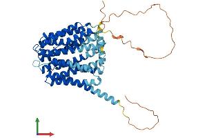 AlphaFold protein structure predicition of Human Recombinant SLC19A3 Protein, UniprotID Q9BZV2