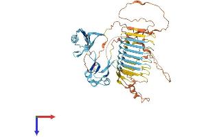 AlphaFold protein structure predicition of Human Recombinant DAZ4 Protein, UniprotID Q86SG3 (DAZ4 Protein (AA 1-579) (His tag))