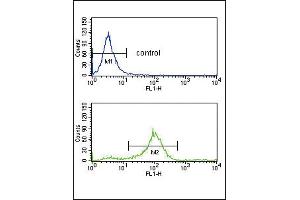SFRP1 Antibody (N-term) (ABIN652980 and ABIN2842622) flow cytometry analysis of K562 cells (bottom histogram) compared to a negative control cell (top histogram).