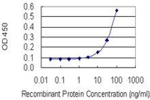 Detection limit for recombinant GST tagged EN2 is 3 ng/ml as a capture antibody. (EN2 antibody  (AA 86-210))