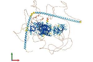 AlphaFold protein structure predicition of Mouse Recombinant Plekhh2 Protein, UniprotID Q8C115