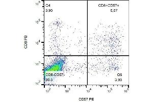 Surface staining of human peripheral blood with anti-human CD57 (TB01) PE. (CD57 antibody  (PE))