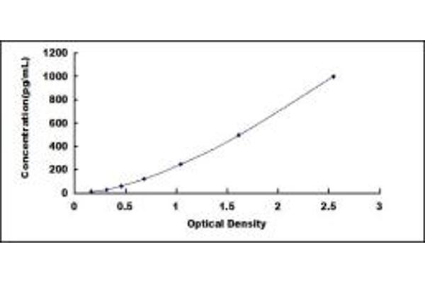 SNCA ELISA Kit