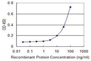 Detection limit for recombinant GST tagged FOXC2 is 1 ng/ml as a capture antibody. (FOXC2 antibody  (AA 156-256))