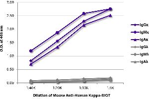 ELISA plate was coated with purified human IgGκ, IgMκ, IgAκ, IgGλ, IgMλ, and IgAλ. (Mouse anti-Human Immunoglobulin kappa Chain Complex (Igk) Antibody (Biotin))
