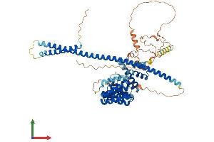 AlphaFold protein structure predicition of Human Recombinant KLC2 Protein, UniprotID Q9H0B6 (KLC2 Protein (AA 1-622) (His tag))
