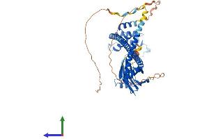 AlphaFold protein structure predicition of Human Recombinant ACBD3 Protein, UniprotID Q9H3P7 (ACBD3 Protein (AA 1-528) (His tag))