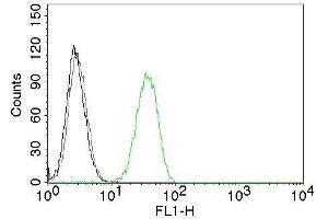 Flow Cytometry of human CD31 on Jurkat cells. (CD31 antibody  (CF®488A))