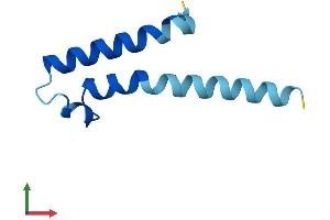 Protein Structure (PS) image for Phosphatidylinositol Glycan Anchor Biosynthesis, Class Y (PIGY) (AA 1-71) protein (Fc Tag) (ABIN7550703)