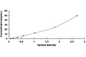 Typical standard curve (CAPN1 ELISA Kit)