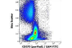 Flow cytometry surface staining pattern of human peripheral whole blood stained using anti-human CD370 (8F9) purified antibody (concentration in sample 1,67 μg/mL) GAM FITC.
