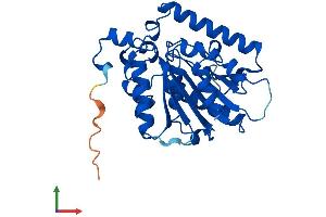 Protein Structure (PS) image for Arylformamidase (AFMID) (AA 1-303) protein (His tag) (ABIN7548692)