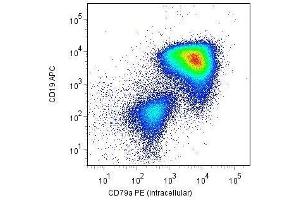 Intracellular staining of CD79a with anti-CD79a (HM57) PE (gated on leukemic blast cells) in a patient with childhood B-precursor ALL. (CD79a antibody  (AA 202-216) (FITC))