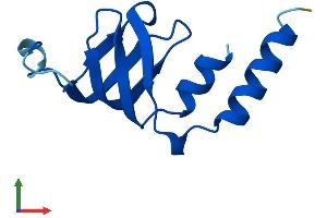 AlphaFold protein structure predicition of Human Recombinant LSM2 Protein, UniprotID Q9Y333 (LSM2 Protein (AA 1-95) (His tag))