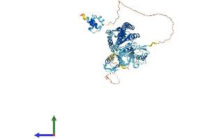 AlphaFold protein structure predicition of Human Recombinant FAF1 Protein, UniprotID Q9UNN5