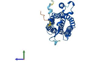 Protein Structure (PS) image for Alkaline Ceramidase 2 (ACER2) (AA 1-275) protein (His tag) (ABIN7559847)