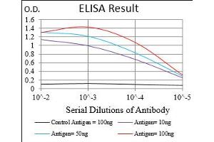 Fig. (DIS3L2 antibody  (AA 27-250))