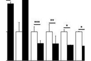 Inverse correlation between DMP and mRNA levels of target genes.