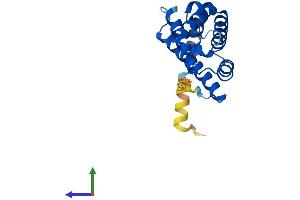 AlphaFold protein structure predicition of Human Recombinant CYGB Protein, UniprotID Q8WWM9 (CYGB Protein (AA 1-190) (His tag))
