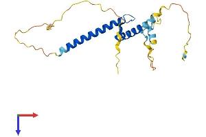 TCF15 Protein (AA 1-199) (His tag)