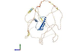 Protein Structure (PS) image for Myocyte Enhancer Factor 2D (MEF2D) (AA 1-521) protein (His tag) (ABIN7554510)