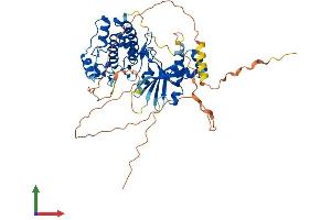 AlphaFold protein structure predicition of Mouse Recombinant Gm4922 Protein, UniprotID Q8C0N0 (Gm4922 Protein (AA 1-497) (His tag))