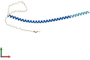 Protein Structure (PS) image for Nucleoporin 62kDa C-terminal Like (NUP62CL) (AA 1-184) protein (His tag) (ABIN7549608)