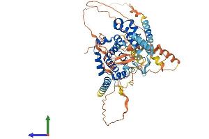 AlphaFold protein structure predicition of Human Recombinant TBC1D3F Protein, UniprotID A6NER0 (TBC1D3 Protein (AA 1-549) (His tag))