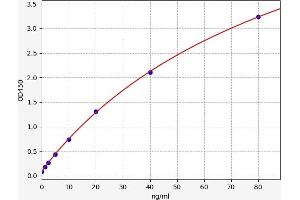 Typical standard curve (Lysozyme G ELISA Kit)