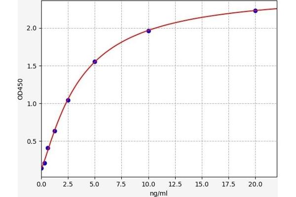 ERK1 ELISA Kit