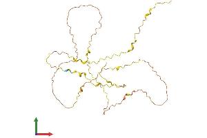 AlphaFold protein structure predicition of Human Recombinant PRR32 Protein, UniprotID B1ATL7 (PRR32 Protein (AA 1-298) (His tag))