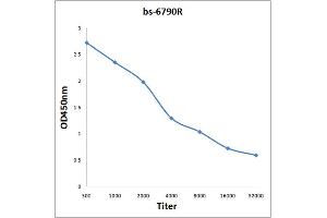 Antigen: 0. (14-3-3 zeta antibody  (AA 51-150))