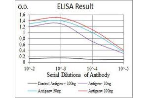 Black line: Control Antigen (100 ng), Purple line: Antigen(10 ng), Blue line: Antigen (50 ng), Red line: Antigen (100 ng), (PKHD1 antibody  (AA 3878-4060))