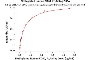 Immobilized Human CD40 Ligand, His,Flag Tag (active trimer) (MALS verified) (ABIN6950957,ABIN6952262) at 5 μg/mL (100 μL/well) can bind Biotinylated Human CD40, Fc,Avitag (ABIN5674593,ABIN6253701) with a linear range of 0.