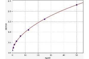 TNFRSF8 ELISA Kit